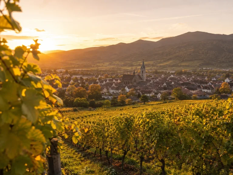 Vignobles et village alsacien au coucher du soleil près de Guebwiller