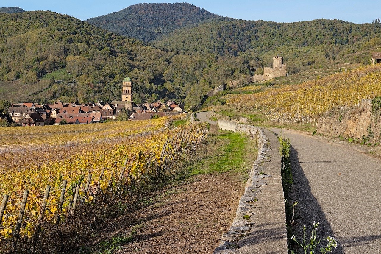 Kaysersberg en automne avec ses vignobles, son village et les ruines du château en Alsace